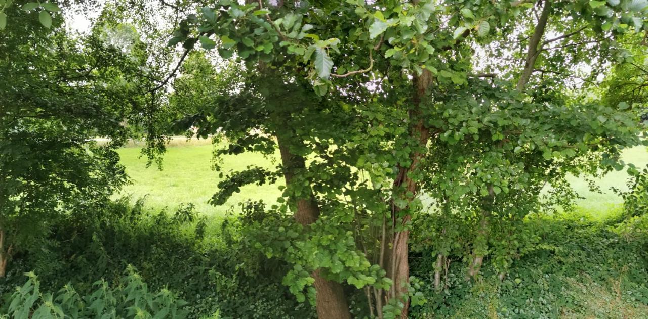 Gemütliches An Der Schilde *